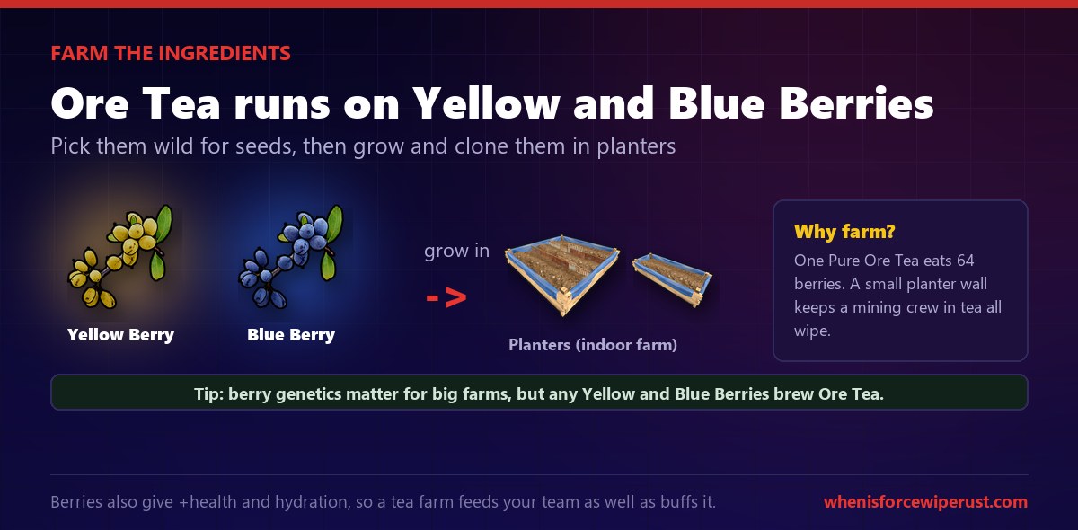 Rust Ore Tea ingredients: Yellow and Blue Berries picked from wild bushes for seeds, then grown and cloned in planter boxes to keep a mining team stocked with tea