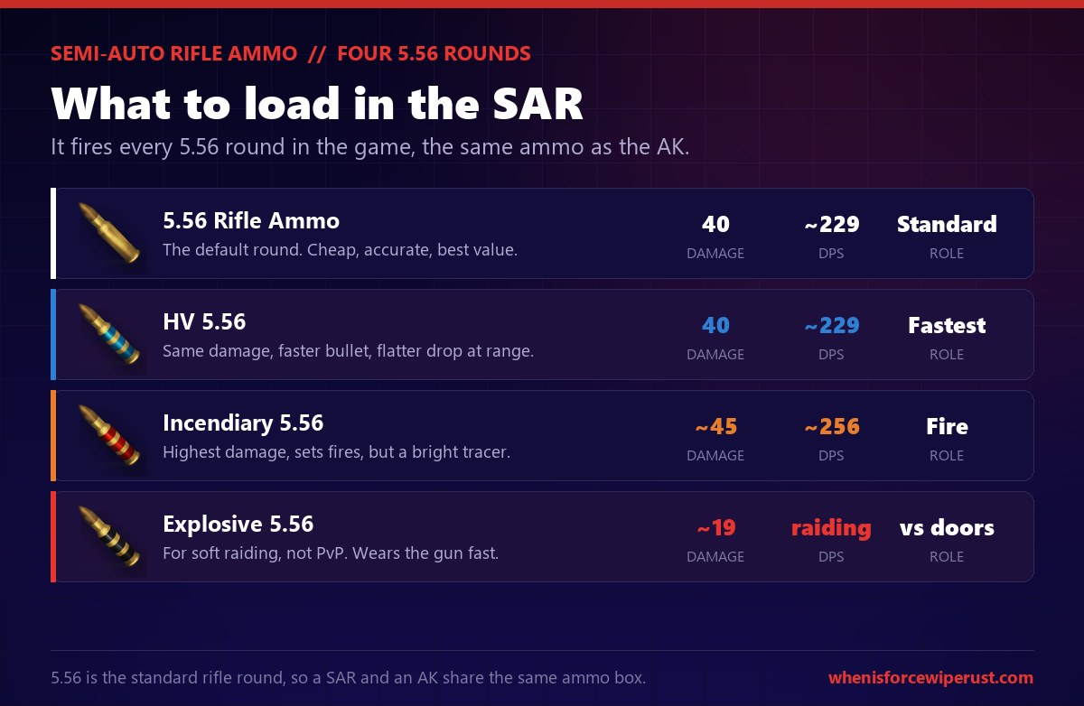 The four 5.56 ammo types the Semi-Automatic Rifle can fire in Rust: standard 5.56 Rifle Ammo at 40 damage and about 229 DPS, HV 5.56 at 40 damage with a faster flatter bullet for range, Incendiary 5.56 at about 45 damage which is the highest and sets fires, and Explosive 5.56 which is a soft raiding round doing about 19 to a wooden door and wearing the gun out fast