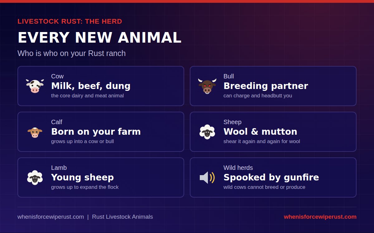 Every new livestock animal in Rust: the cow for milk, beef and dung, the bull as a breeding partner that can charge, the calf born on your farm, the sheep for wool and mutton, the lamb as a young sheep, and wild herds that flee from gunfire