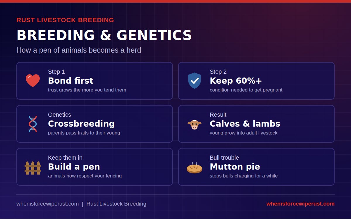 Rust livestock breeding: bond with your animals first, keep condition at 60 percent or more to get pregnant, crossbreeding passes genetics to calves and lambs, build a pen because animals respect fencing, and carry a mutton pie to stop bulls charging