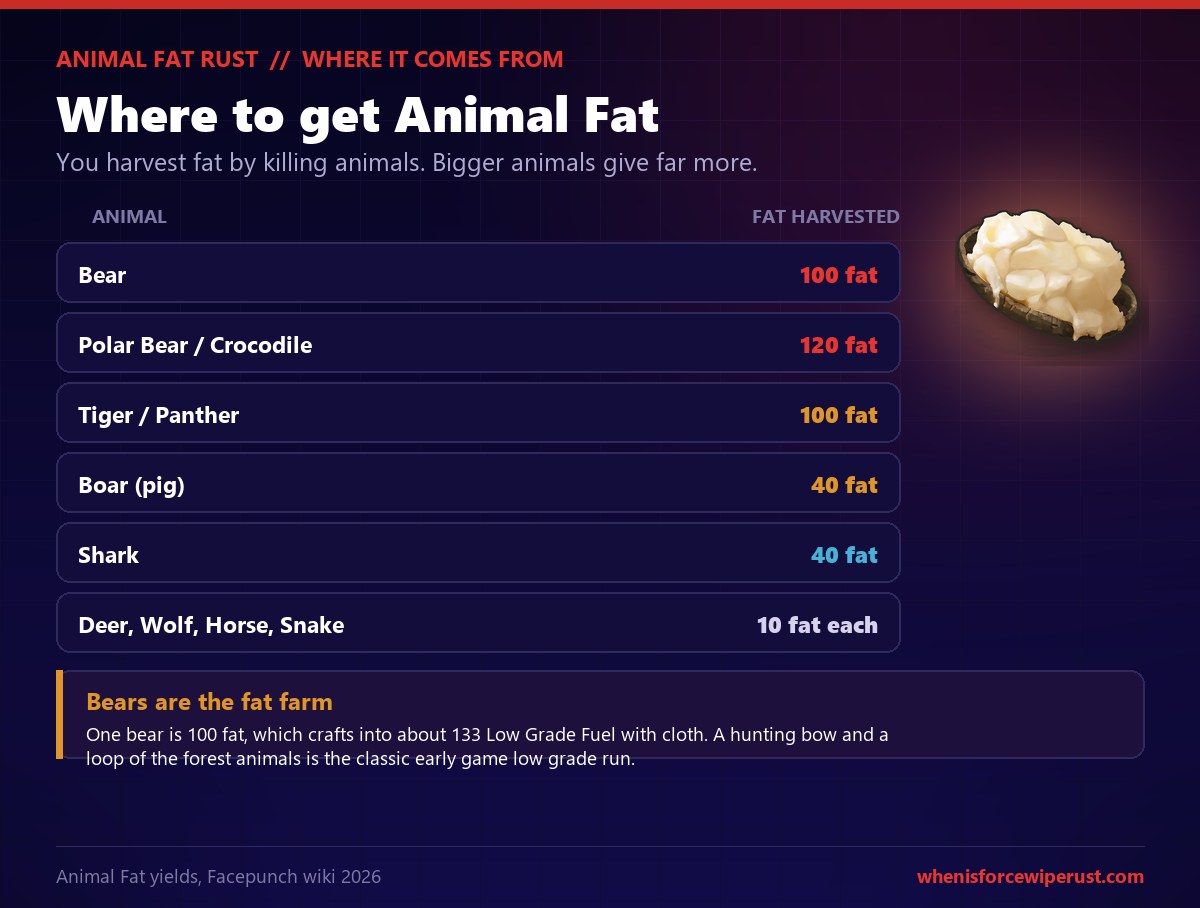 Rust Animal Fat source table showing fat harvested per animal: a Bear gives 100 fat, a Polar Bear or Crocodile 120, a Tiger or Panther 100, a Boar 40, a Shark 40, and small animals like Deer, Wolf, Horse and Snake 10 fat each, with a note that bears are the best fat farm because 100 fat crafts into about 133 Low Grade Fuel with cloth
