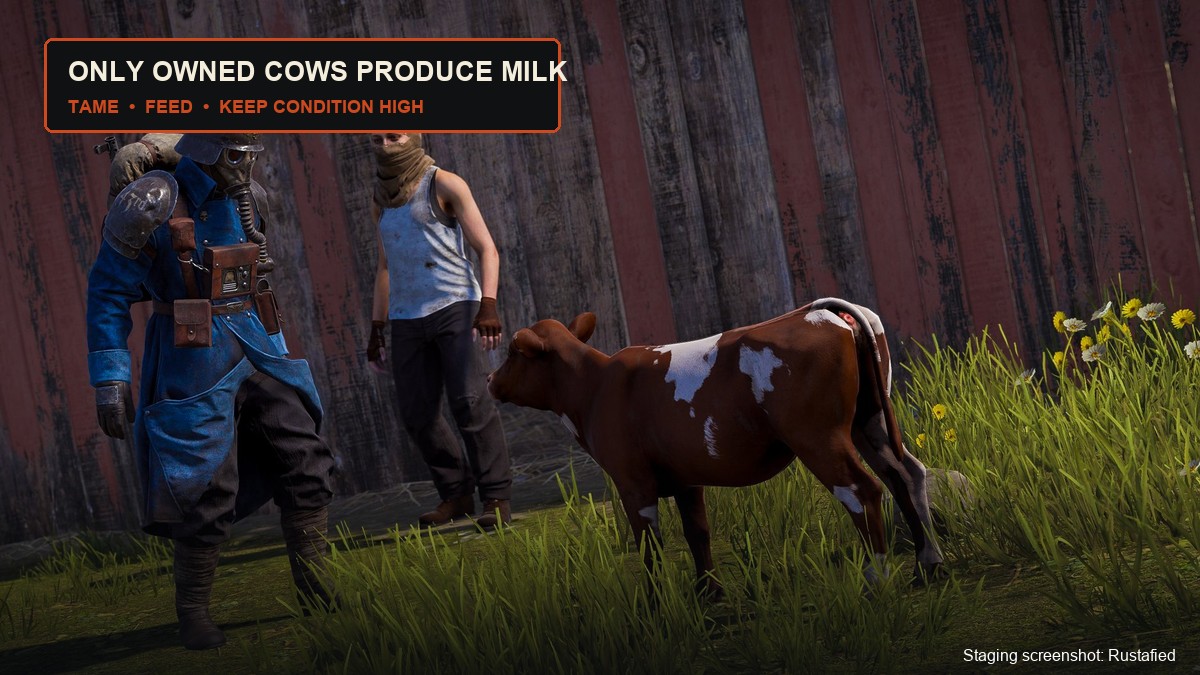 Rust milk source steps: tame a cow, keep condition above 60 percent, collect milk