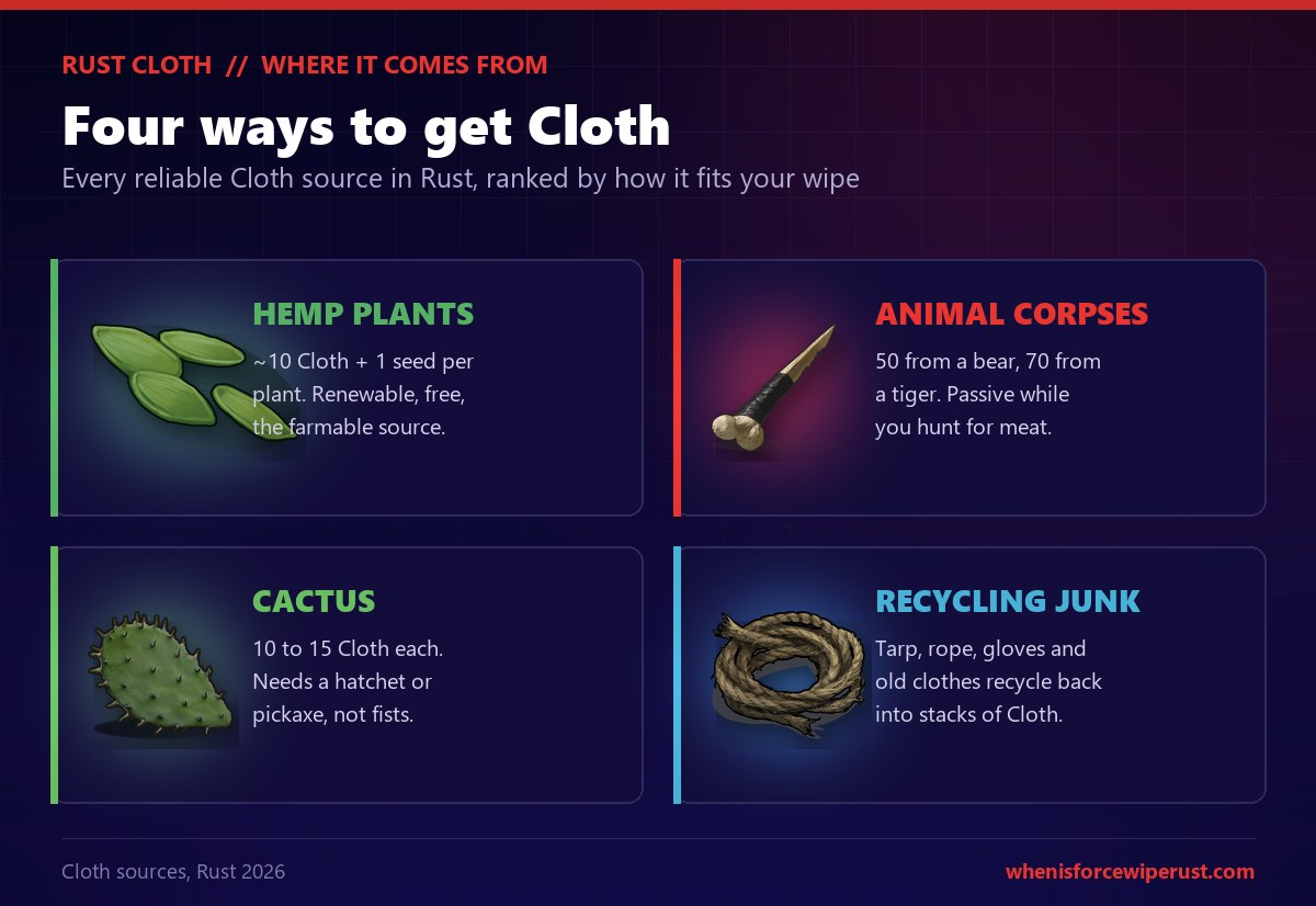 Rust Cloth sources overview with four cards, hemp plants give about 10 cloth plus a seed per plant and are the farmable source, animal corpses give 50 from a bear and 70 from a tiger, cactus gives 10 to 15 cloth each with a hatchet, and recycling tarp rope gloves and old clothes returns stacks of cloth