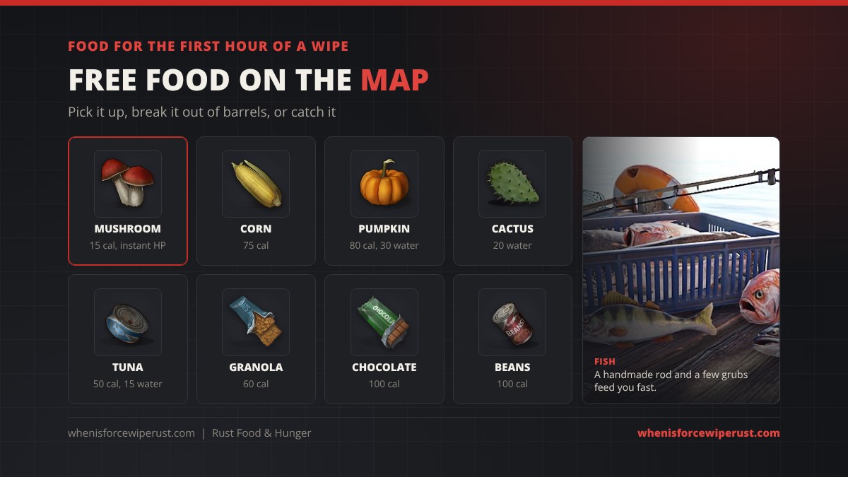 Free food on the Rust map for the first hour of a wipe: mushrooms, corn, pumpkins, cactus flesh, cans of tuna, granola bars, chocolate bars and cans of beans, plus fishing with a handmade rod