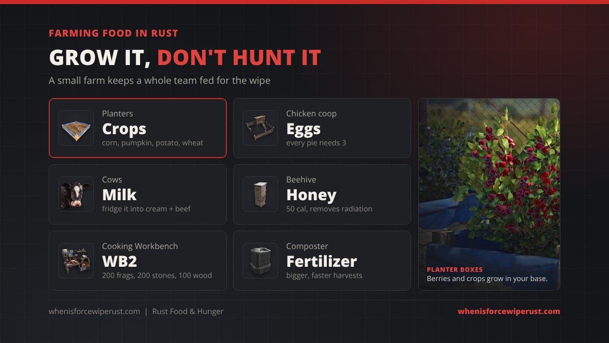 Farming food in Rust: planters grow corn, pumpkins, potatoes and wheat, a chicken coop gives eggs for pies, cows give milk that a fridge turns into cream, beehives give honey, the Cooking Workbench needs a Workbench 2, and a composter makes fertilizer