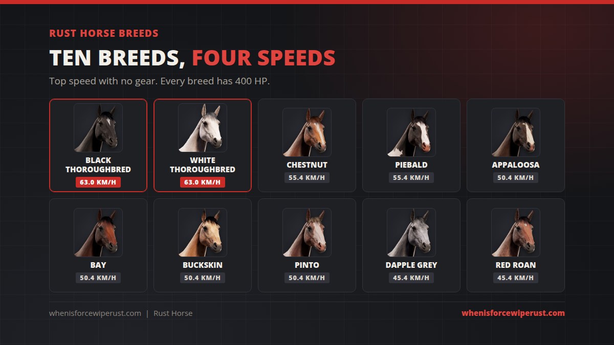 Rust horse breeds: Black and White Thoroughbred at 63 km/h, Chestnut and Piebald at 55.4 km/h, Appaloosa, Bay, Buckskin and Pinto at 50.4 km/h, and Dapple Grey and Red Roan at 45.4 km/h