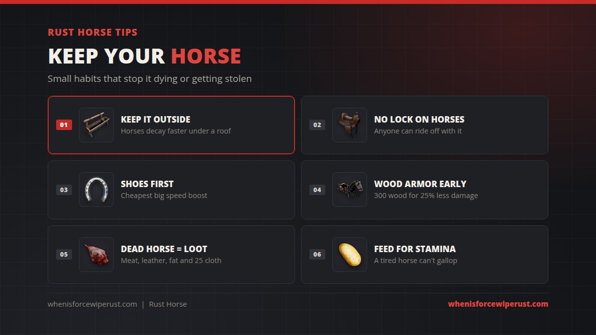 Rust horse tips: keep it outside because horses decay faster under a roof, there is no lock, buy shoes first, use wooden armor early, a dead horse drops meat, leather, fat and 25 cloth, and feed it for stamina