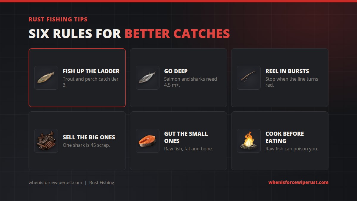 Six Rust fishing tips: fish up the ladder with trout and perch as bait, go to water deeper than 4.5 metres for salmon and sharks, reel in bursts and stop when the line turns red, sell big fish, gut small fish, and cook fish before eating