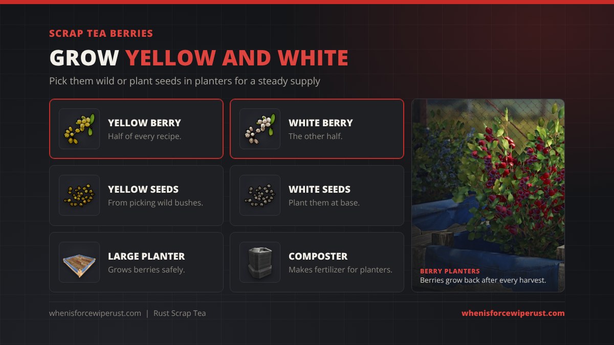 Scrap Tea berries in Rust: Yellow Berries and White Berries are each half of every recipe, pick wild bushes for seeds, plant yellow and white seeds in a Large Planter at base, and use a Composter to make fertilizer for faster harvests, shown beside a real in-game berry planter